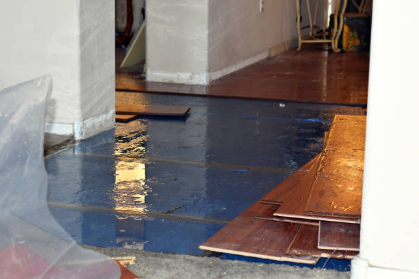 Professional Flood Damage Repair technician working in Collins, OH